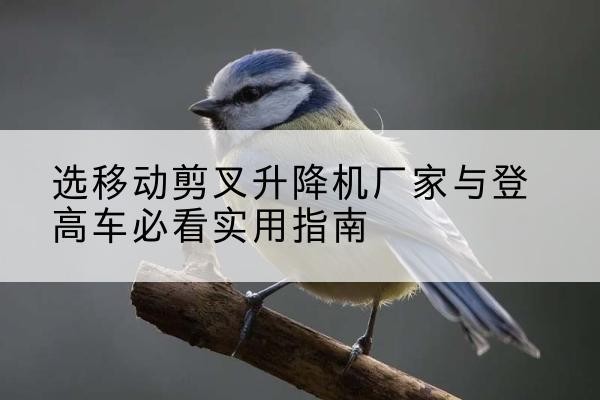 吉木萨尔电动升降机厂家-选移动剪叉升降机厂家与登高车必看实用指南