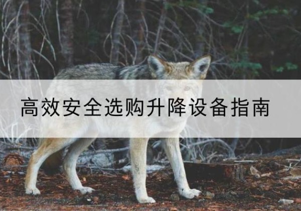 吉木萨尔升降货梯厂家推荐-*安全选购升降设备指南